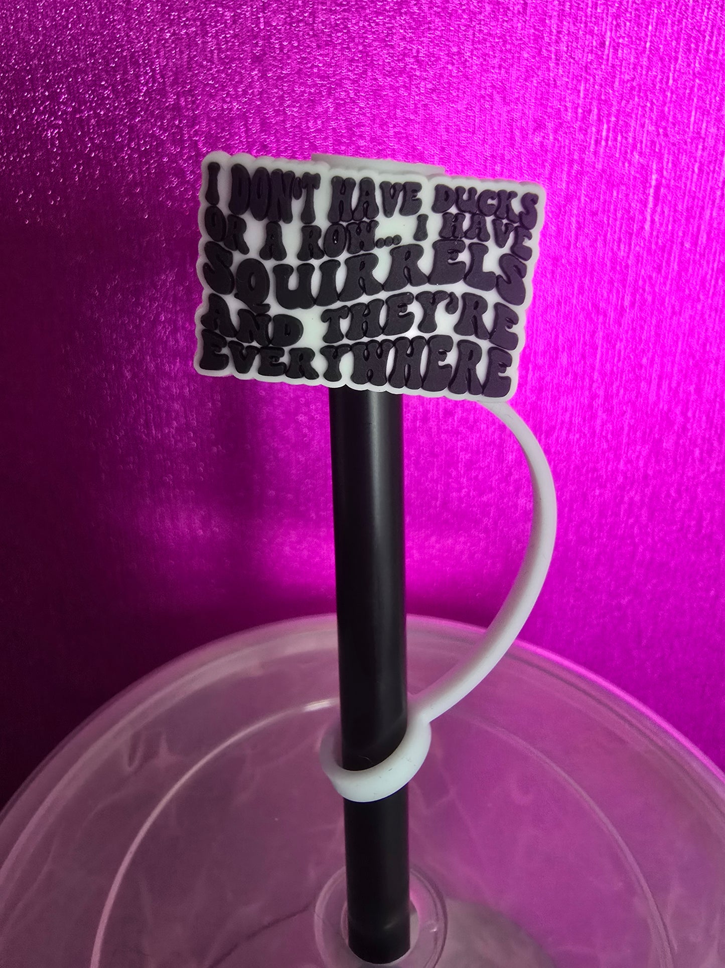 Ducks & Squirrels Quote Straw Topper